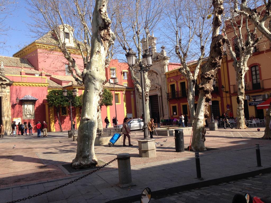 Alameda * Seville